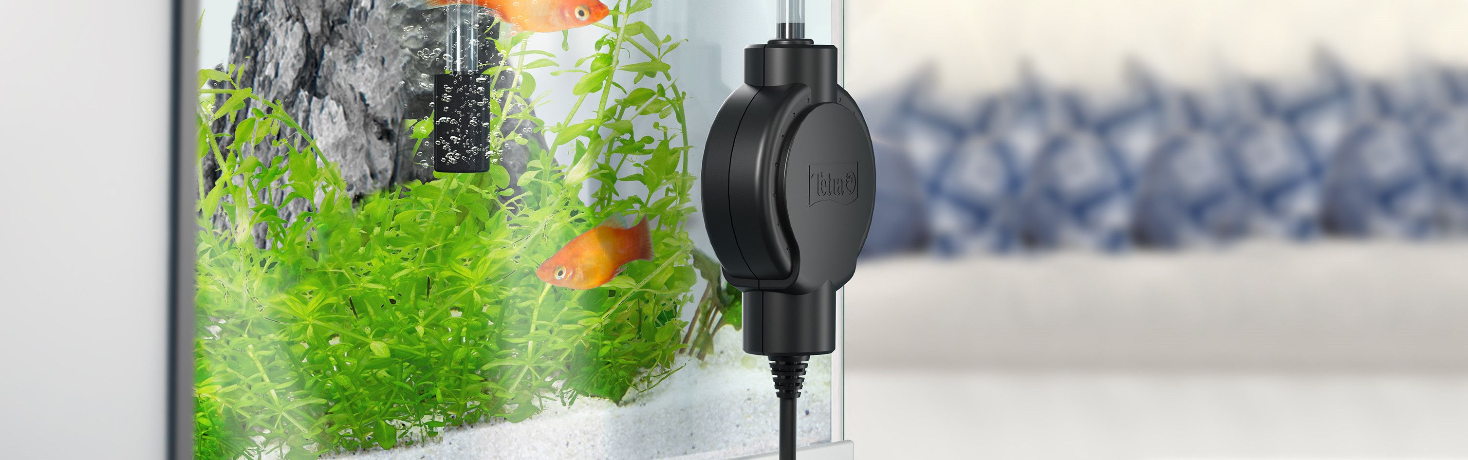 Buy Tetra Aquarium pumps and accessories Tetra Shop