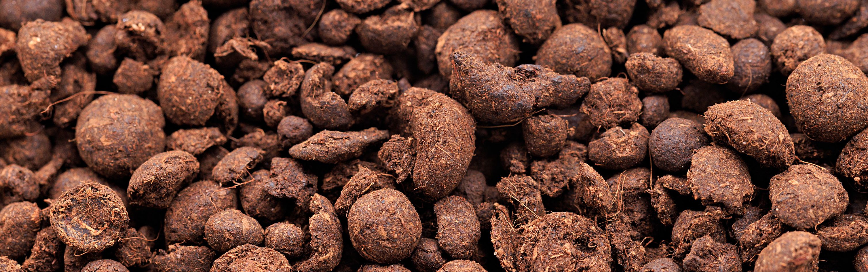 Buy natural filter media for the aquarium AQUASABI Shop