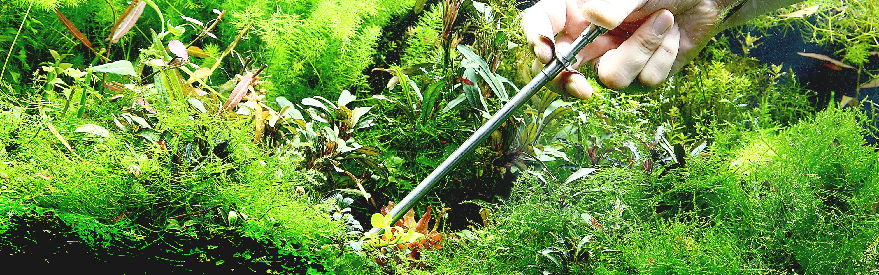 Buy substrate fertiliser for Aquariums AQUASABI Shop