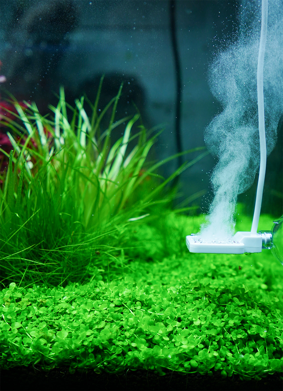 Chihiros - Doctor Mate Bluetooth Edition | Aquasabi - Aquascaping Shop