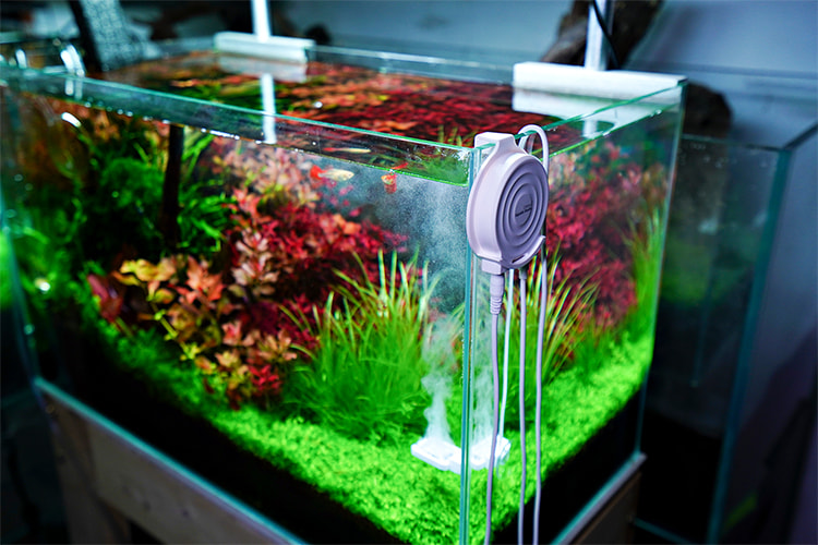 Aquarium Design Malta - JBL Manado back in stock at Aquarium