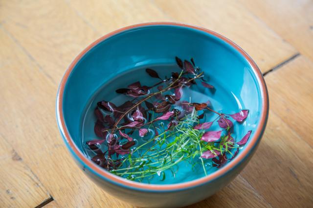 storage of water plants