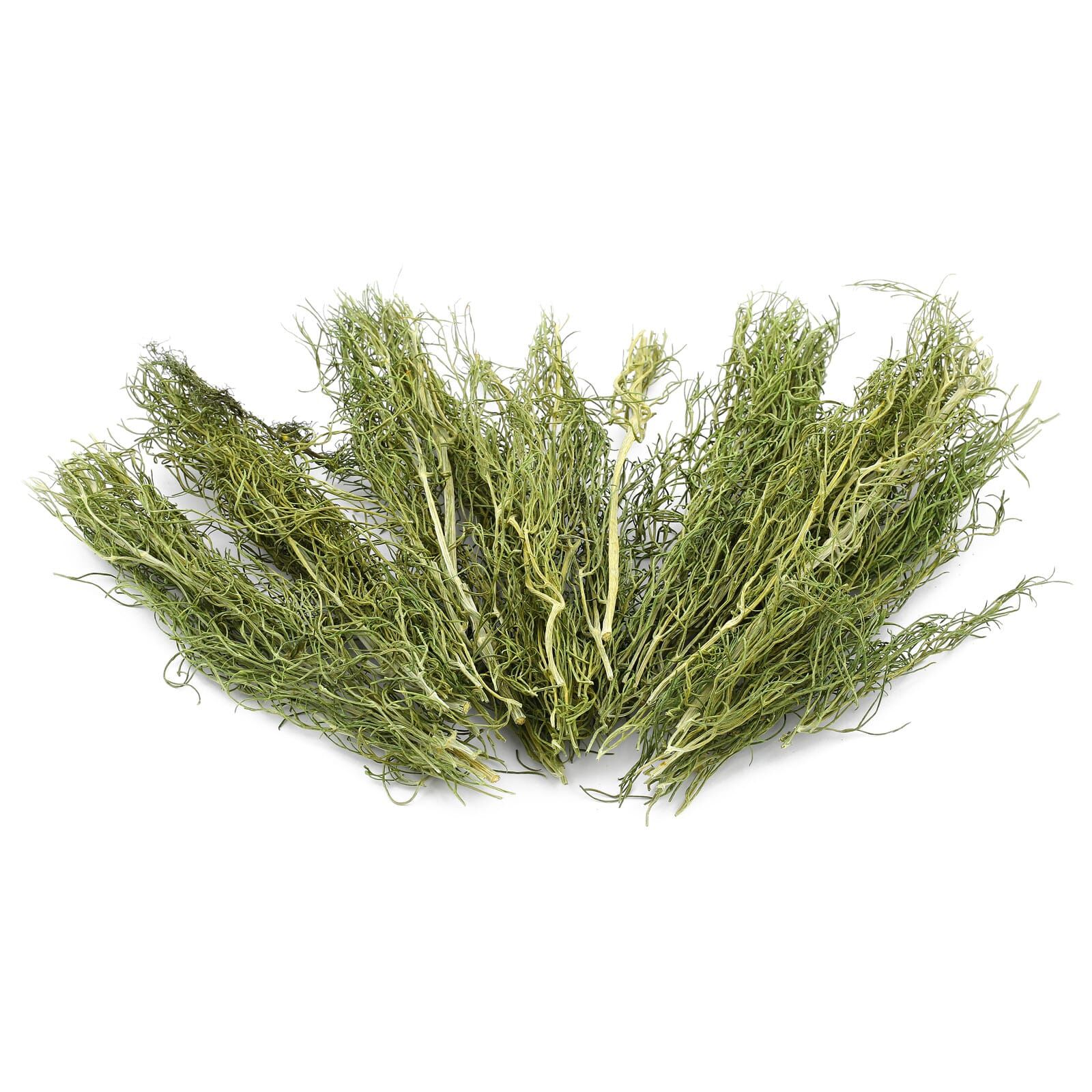 Fennel - 10 g