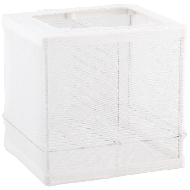 ISTA - Double Isolation & Breeding Box
