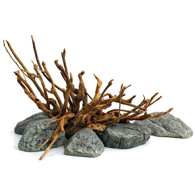 Back to Nature River Stone - C | Aquasabi - Shop