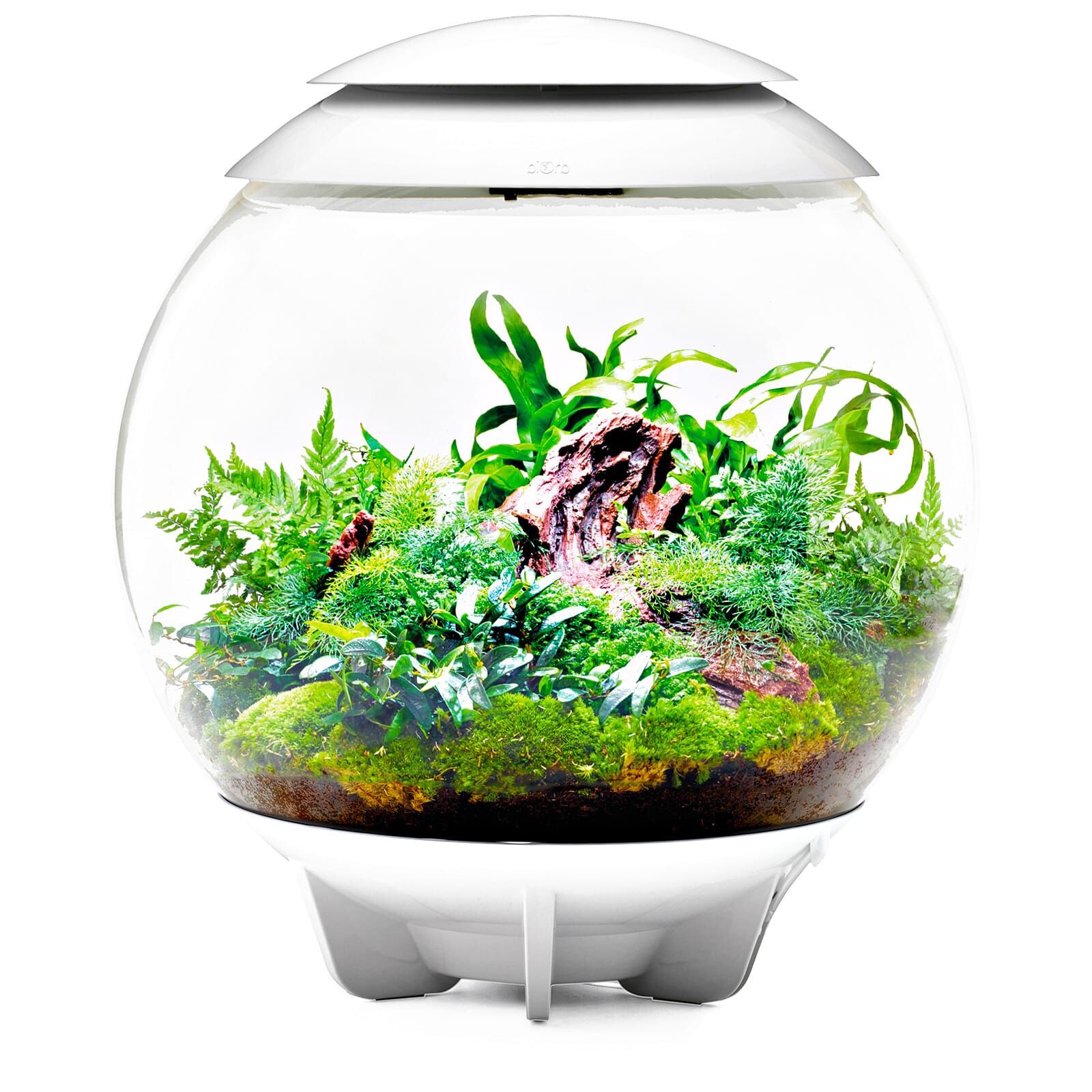 Oase - Pierre de Diffusion d'Air pour Aquarium BiOrb