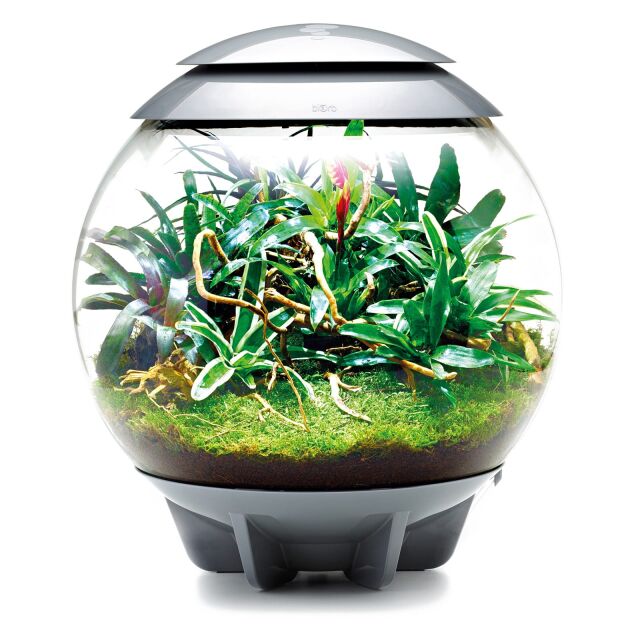 Oase - Air 60 black | Aquasabi Aquascaping Shop