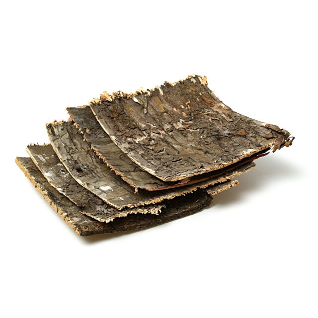 Birch Bark Plates