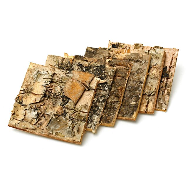Birch Bark Plates - 5 x 5 cm - 5x