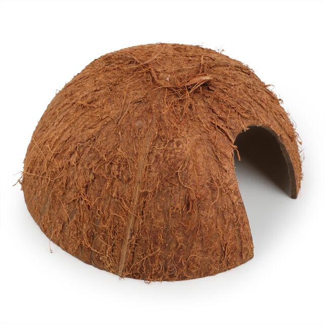 Coconut half shell