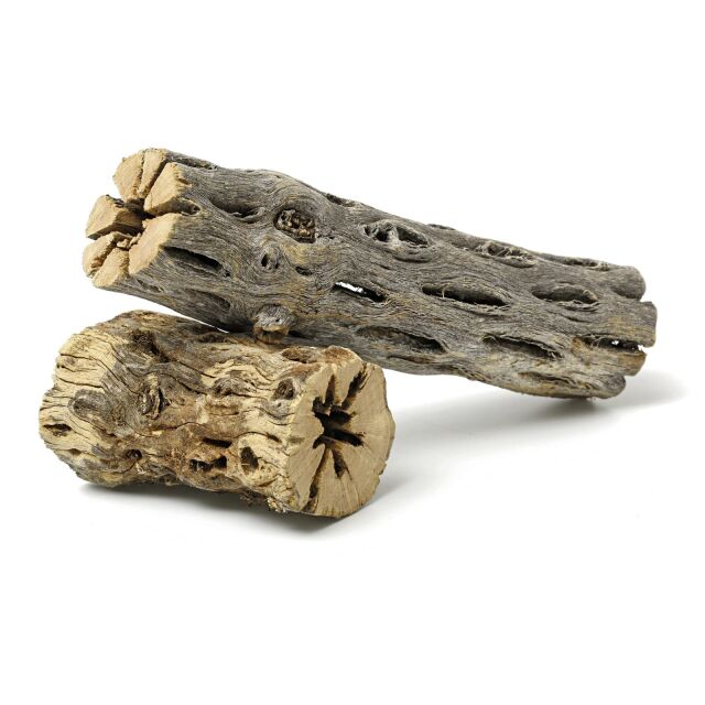 Cholla Wood Mix - 8 + 15 cm