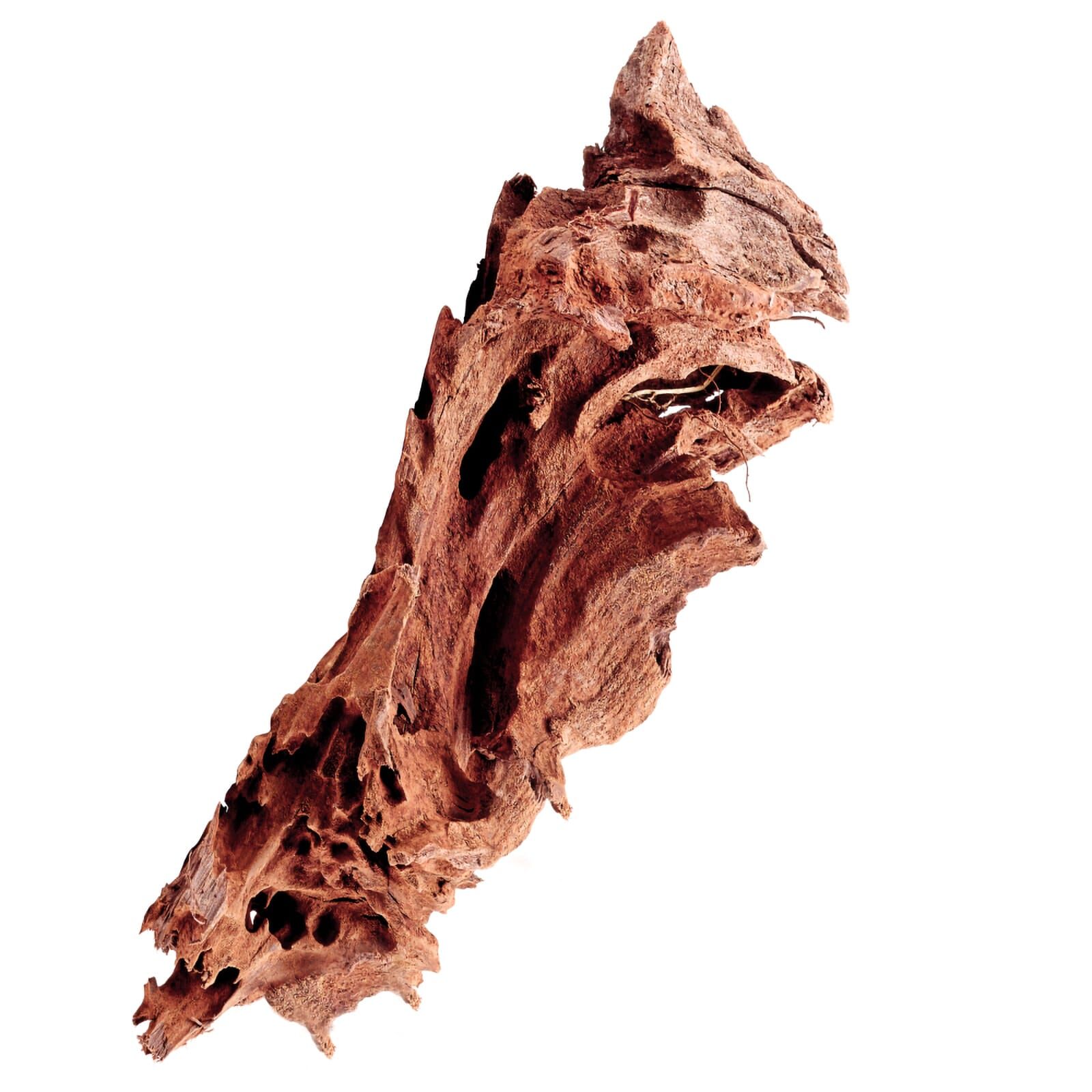 Mangrove Driftwood - M | Aquasabi - Aquascaping Shop