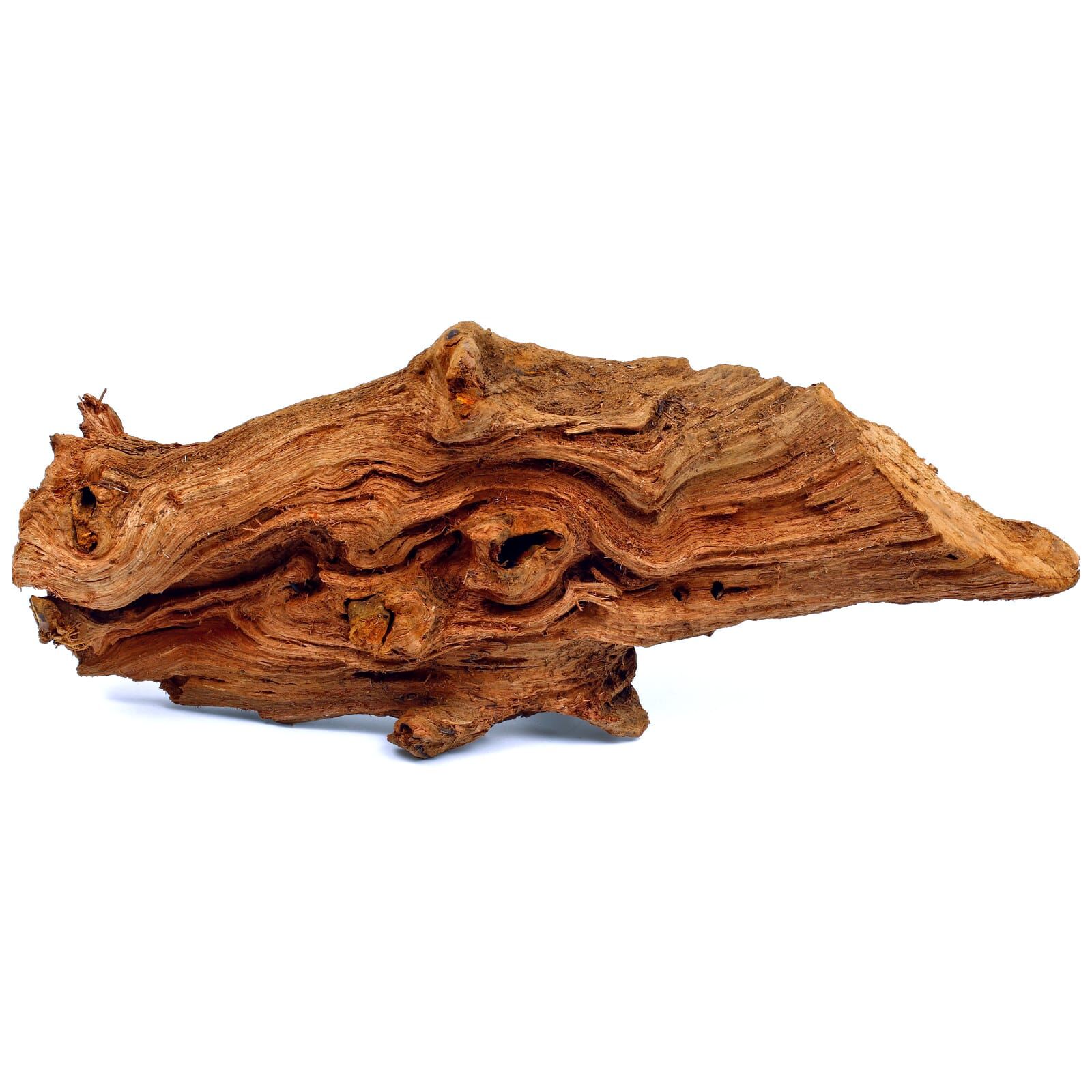 Mangrove Driftwood - M | Aquasabi - Aquascaping Shop