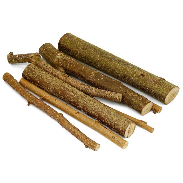 Hazelnut branches - 7x