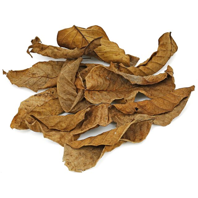 Walnut Leaves - Brown