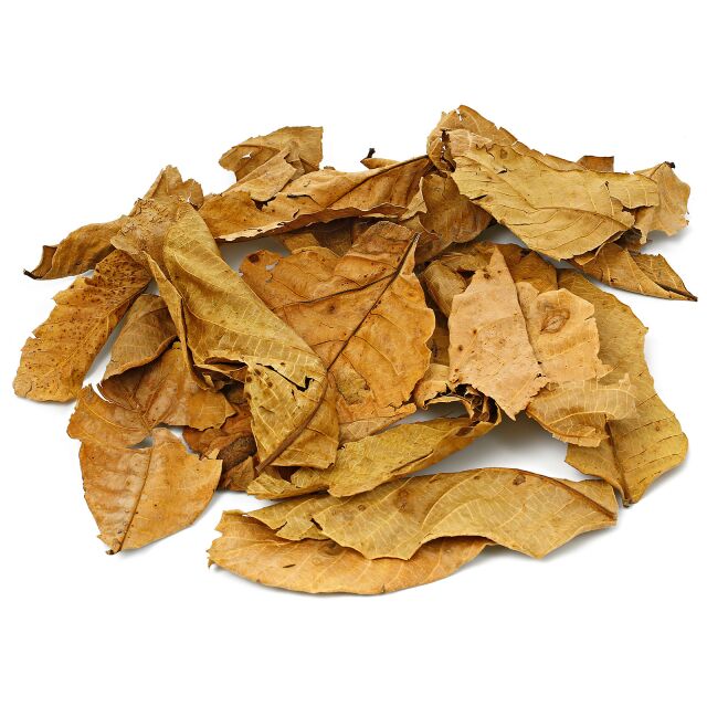 Walnut Leaves - Brown