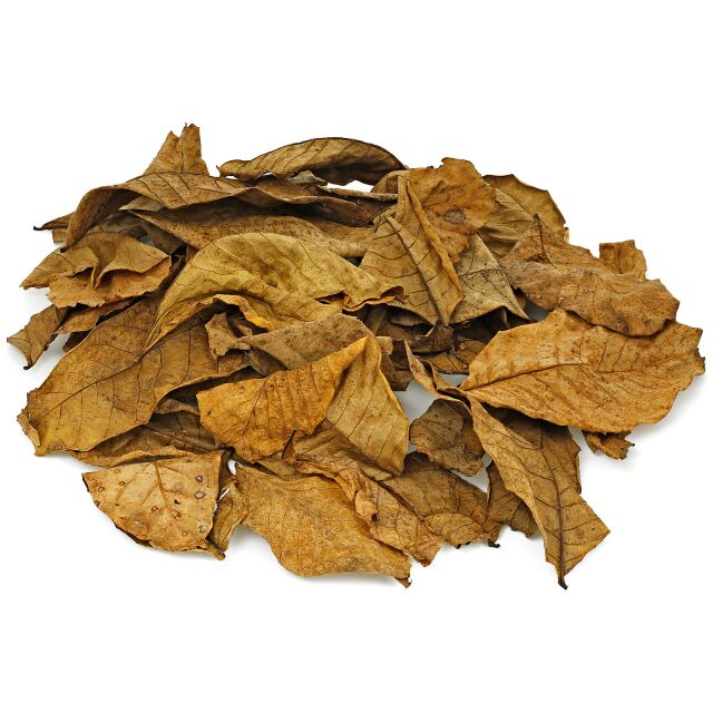 Walnut Leaves - Brown