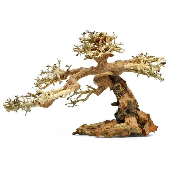 insect Brood onderdak Claw - Bonsai - L | Aquasabi - Aquascaping Shop