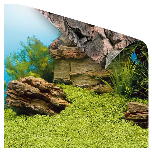 Juwel - Poster 1  Aquasabi - Aquascaping Shop