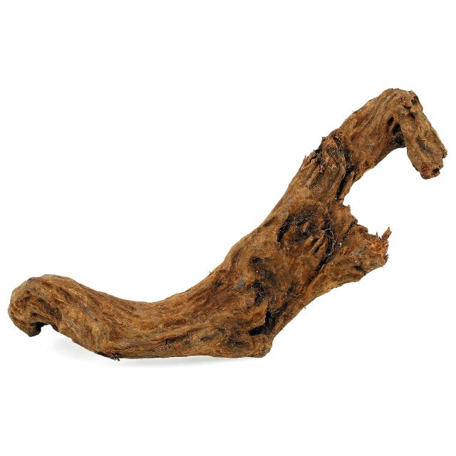 Gnarly Driftwood