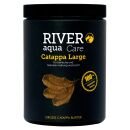 River Aqua - Catappa Leaves