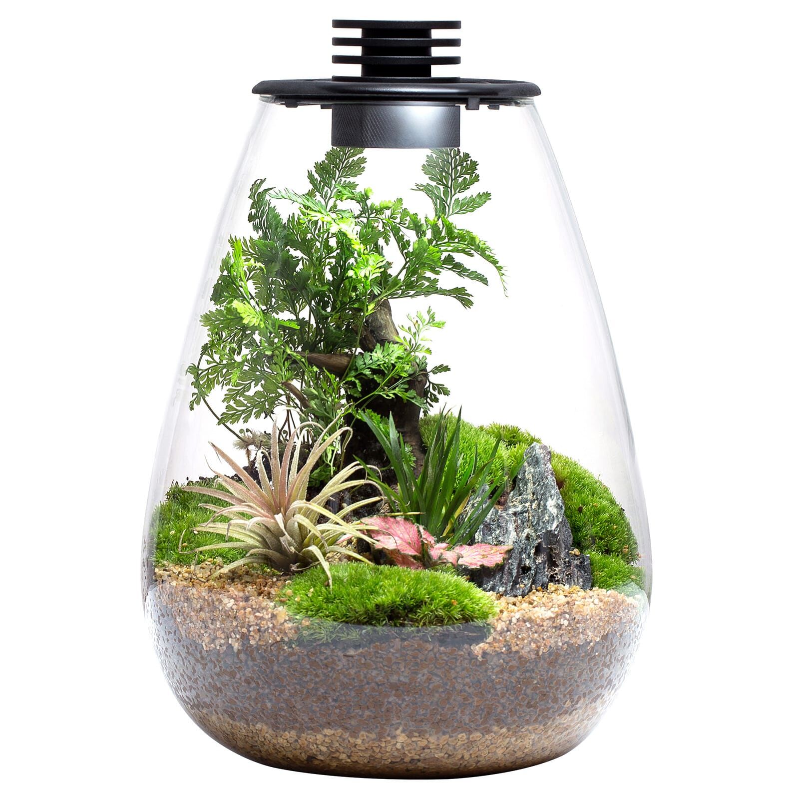 Plastic Suspension Moss Dome Moss Balls For Fish Tank Live Fish