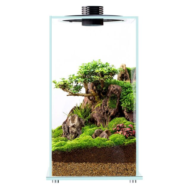 High quality water grass mud ball DIY Beautiful aquarium fish tank No  turbid water no powder - Price history & Review, AliExpress Seller -  Friendship Without Boundaries Store