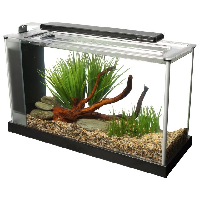 Fluval - SPEC Freshwater-Set - 19 l