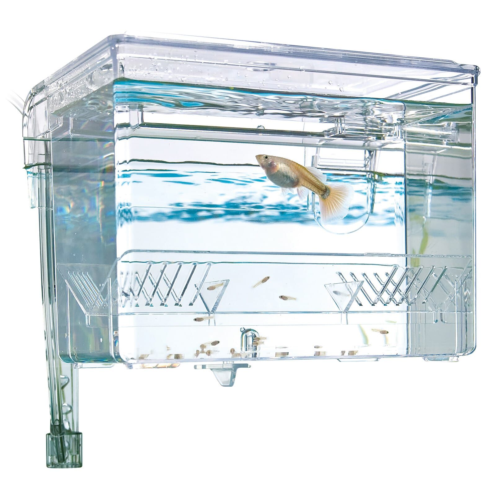 Fluval - Hang-on Breeding Tank