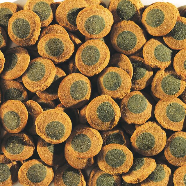 Tetra - Pleco Spirulina Wafers