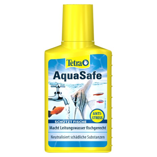 Buy Tetra Aquarium products | Tetra Shop