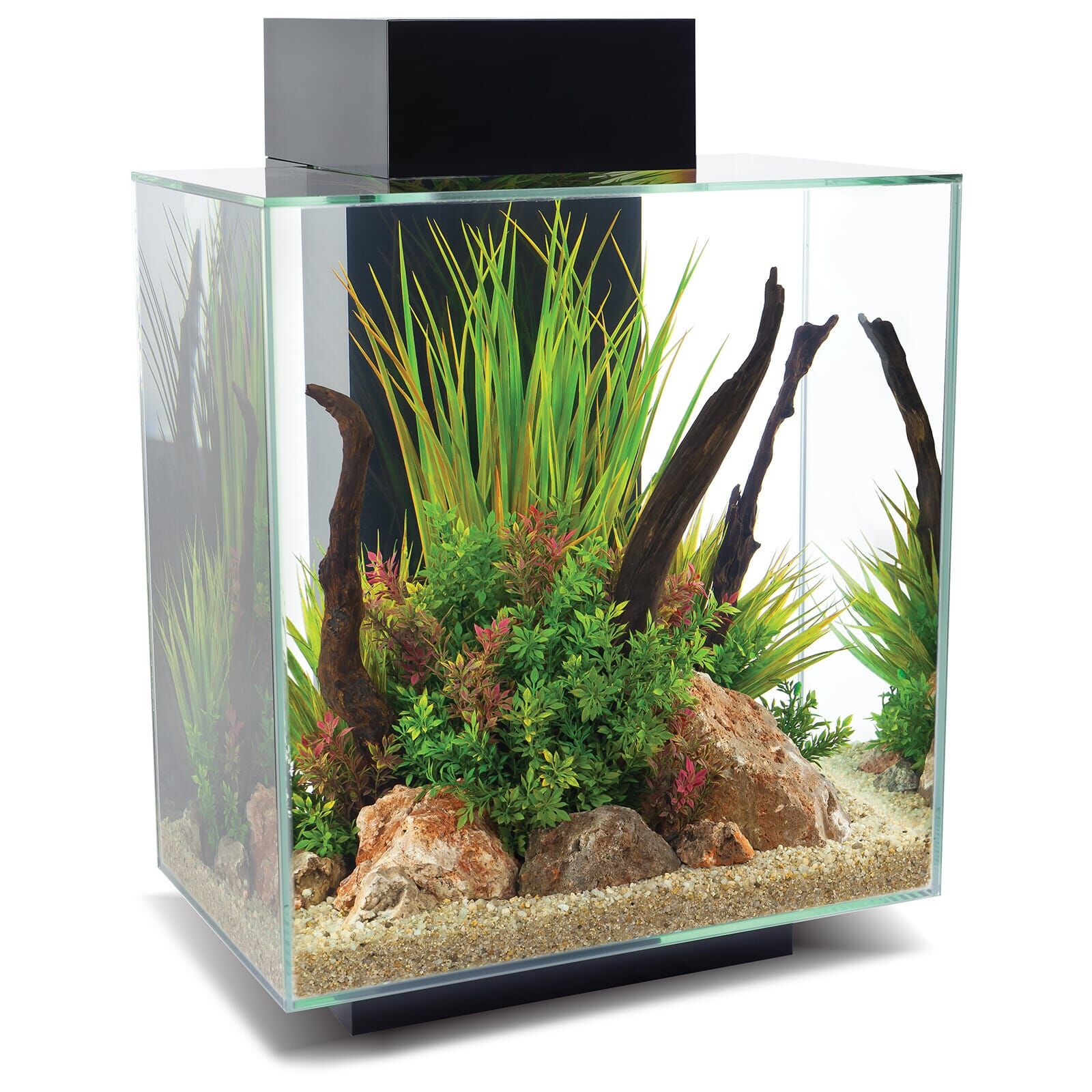 https://www.aquasabi.com/media/image/product/32276/lg/fluval-edge-20-46-l.jpg