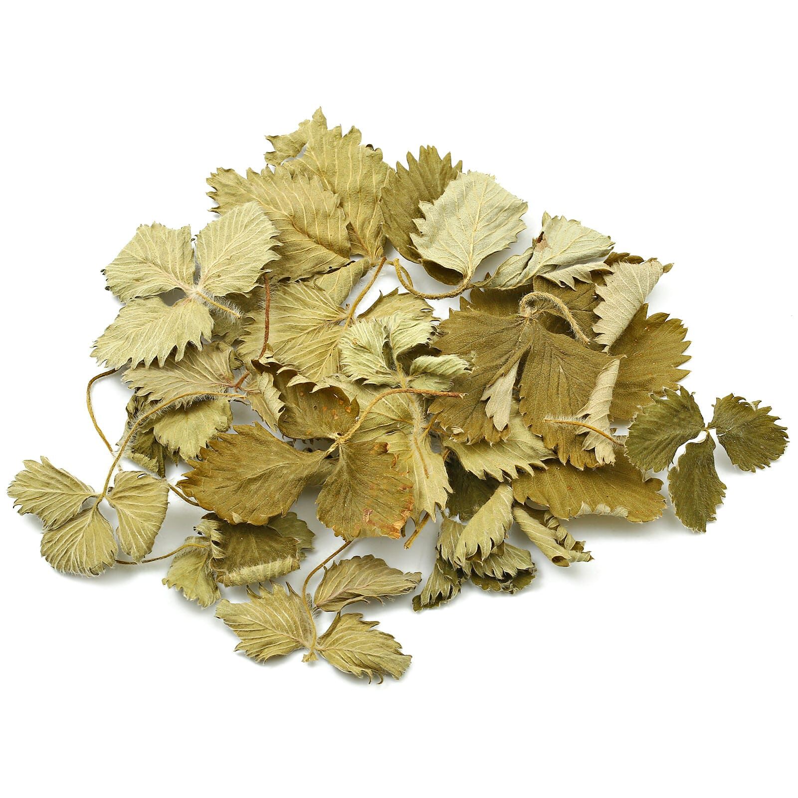 Forest Strawberry Leaves - grün - 10x