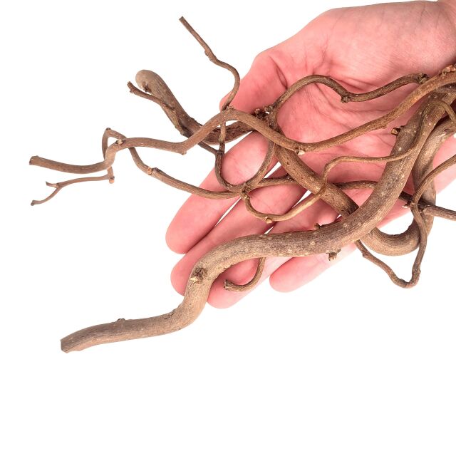WIO - Roots - Twisted Root