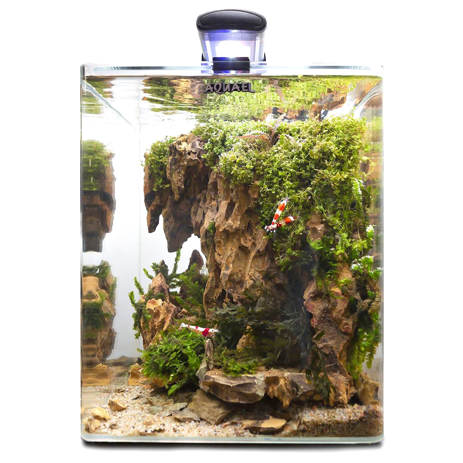 Aquael - Optibent Set 20 l  Aquasabi - Aquascaping Shop