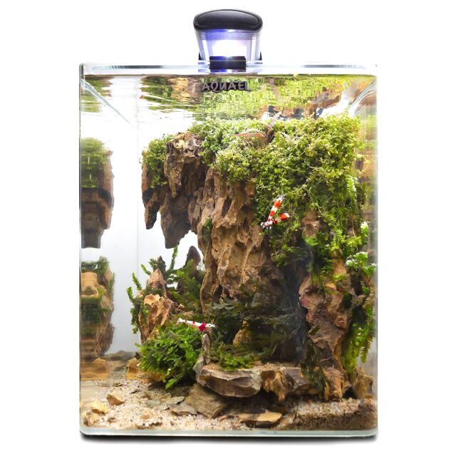 UNS - Aquarium Tall  Aquasabi - Aquascaping Shop