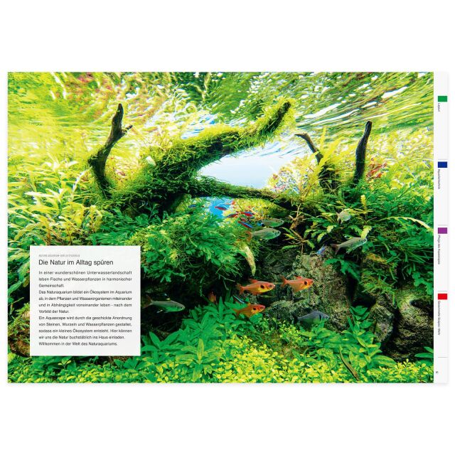 - Nature Aquarium - Der Leitfaden 60 | Aquasabi - Aquascaping Shop