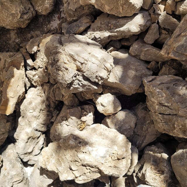 WIO - Stone Sets - Elderly Stone