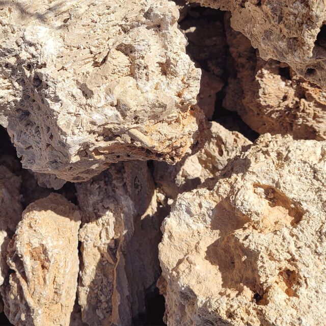 WIO - Stones - Paleorock Stone