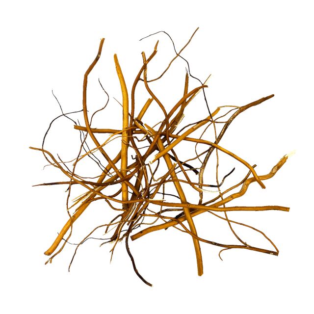 WIO - Decor-Roots - Amber Twisted Roots Mix - 10-40 cm - 140 g