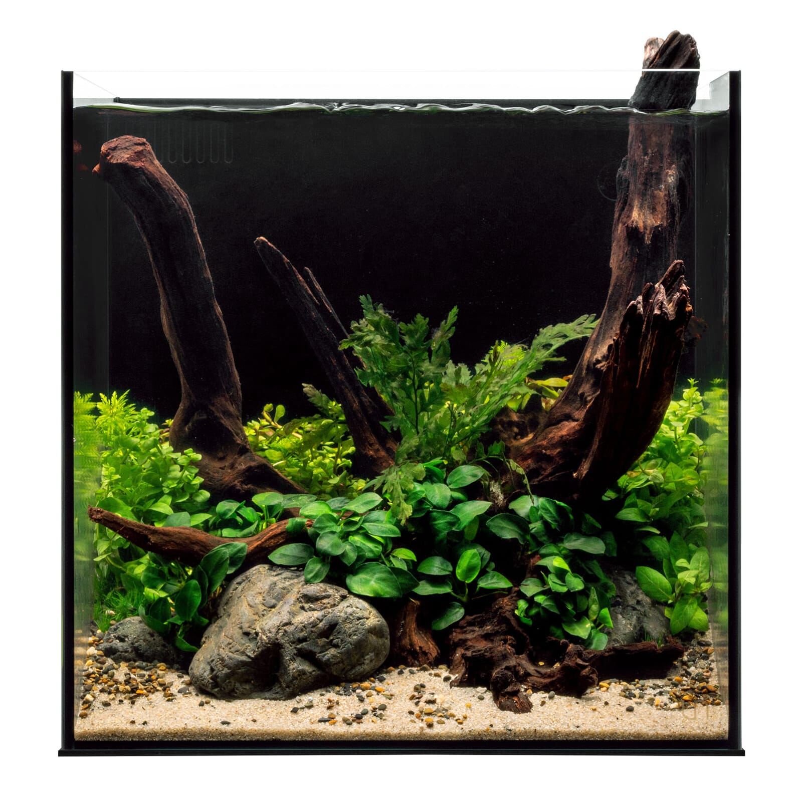 UNS - Aquarium Tall  Aquasabi - Aquascaping Shop