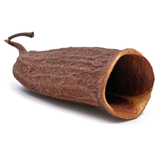 Serafino Shrimp Cave