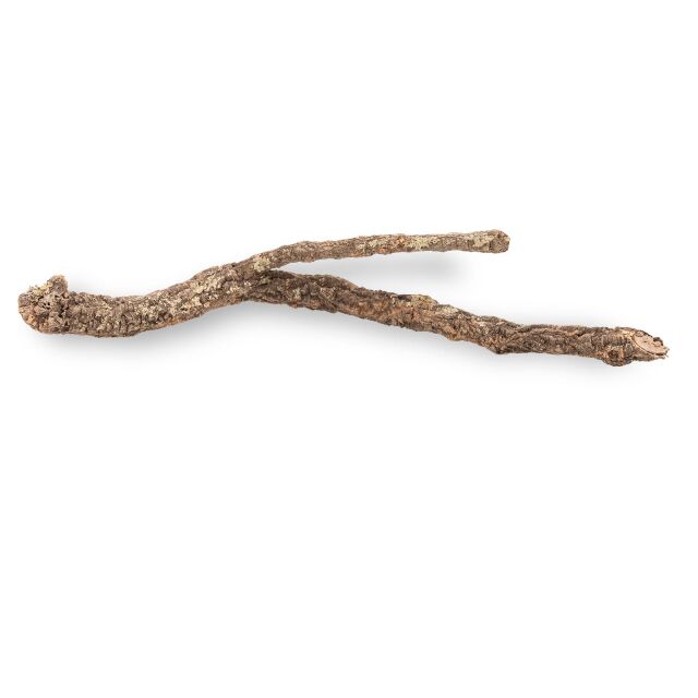 Hobby - Cork Troncho