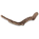 Hobby - Cork Branches L