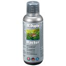 Dupla - Bacter - 250 ml