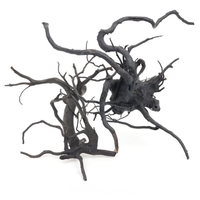 Black Moor Wood