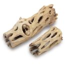 Cholla Wood light Mix - 8 + 15 cm