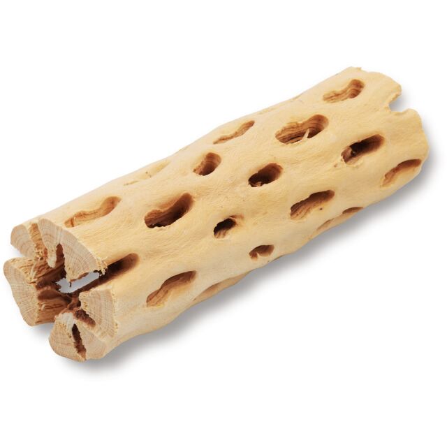 Cholla wood light - 15 cm