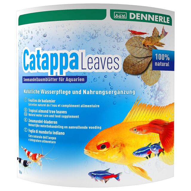 Dennerle - Catappa Leaves - 10x - B-stock