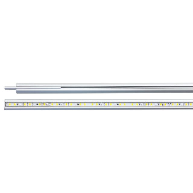 daytime - onex - plant - 110 - B-stock